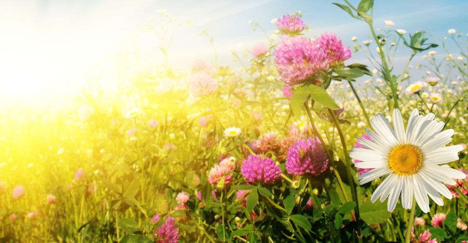 48048-532-1(1)-960 (1)